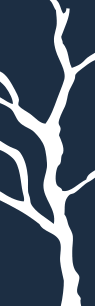 Sebastian Vail Branch Logomark