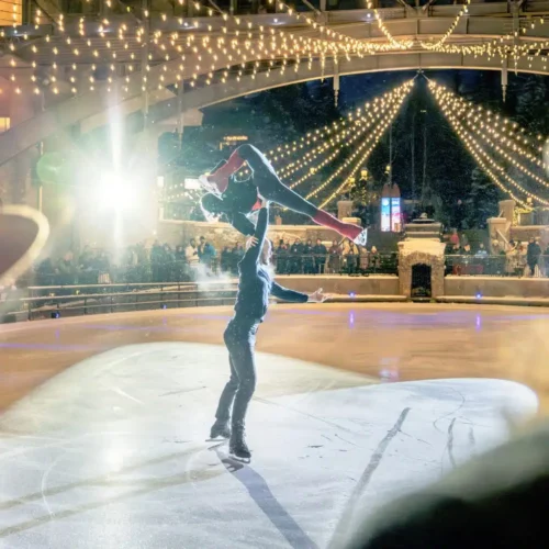 Ice Skating Shows